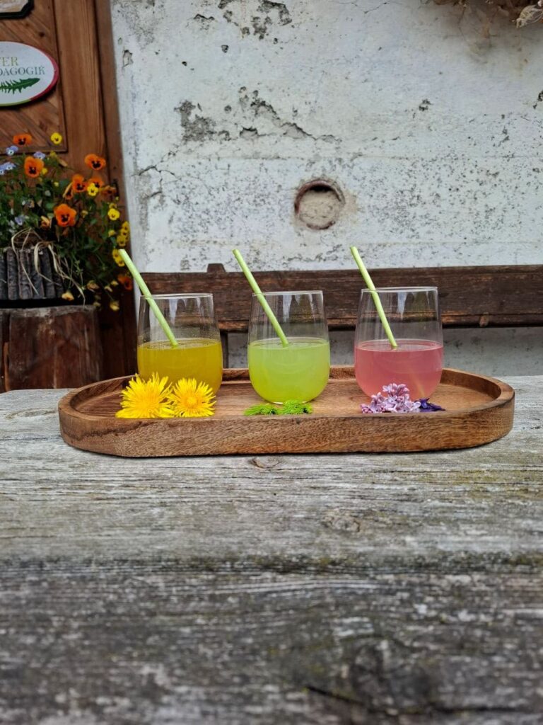 Drei verschiedene Getränke aus wilden Kräutern und Blüten