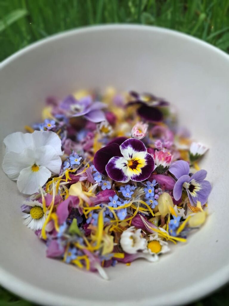 Bunte essbare Blüten in einer Schüssel - vorbereitet für Workshop
