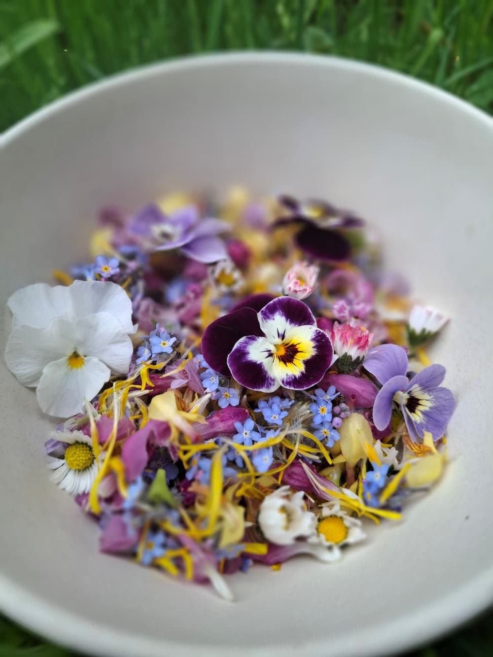 Bunte essbare Blüten in einer Schüssel - vorbereitet für Workshop