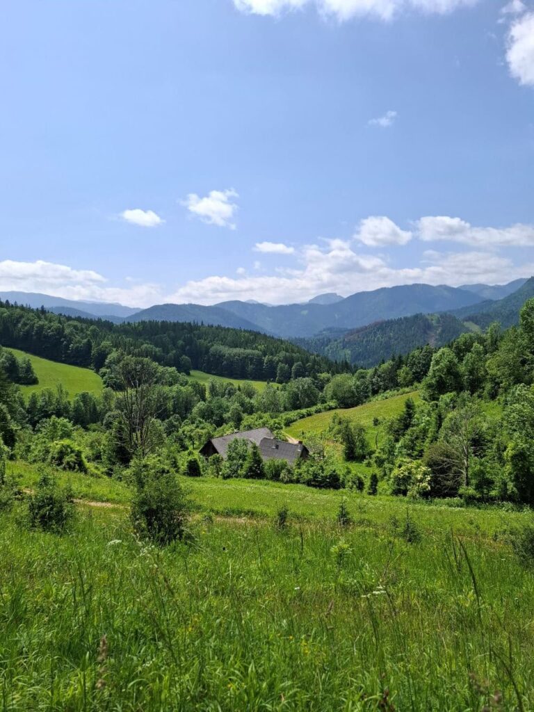 Panorama am Berg - idyllische Landschaft